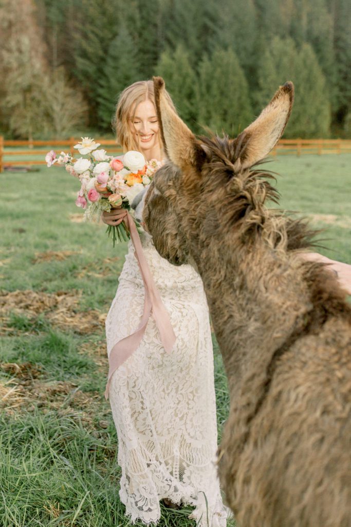 bride smiles at donkey trying to eat her bouquet