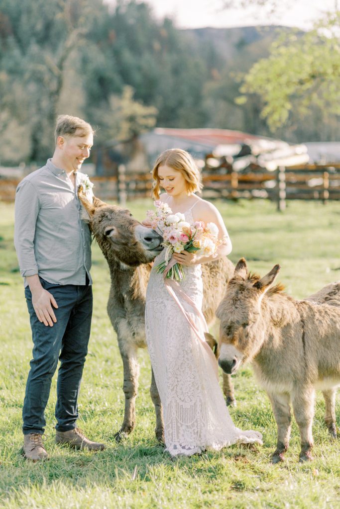 donkey tries to much bridal bouquet while standing between bride and groom